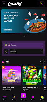 Discover the Thrills of Casiny Casino 26